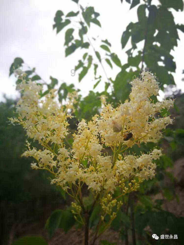 消除彩色点