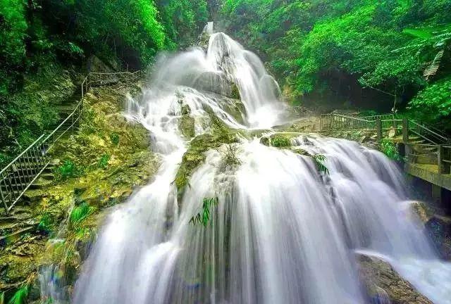 拯救精灵的土地5